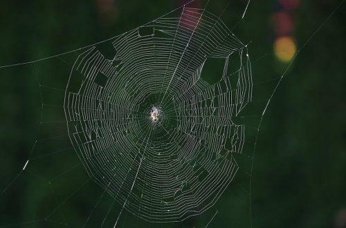矽谷電波：引領未來科技商業的創新力量