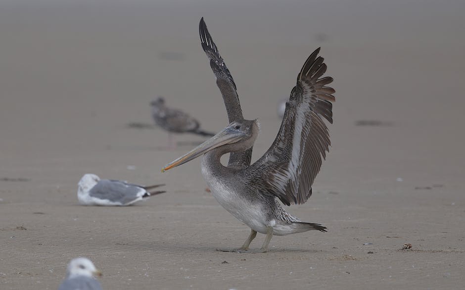 迷你倉市場分析與成功案例報導