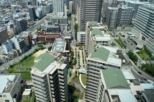 天台花園:綠色空間創造無限商機